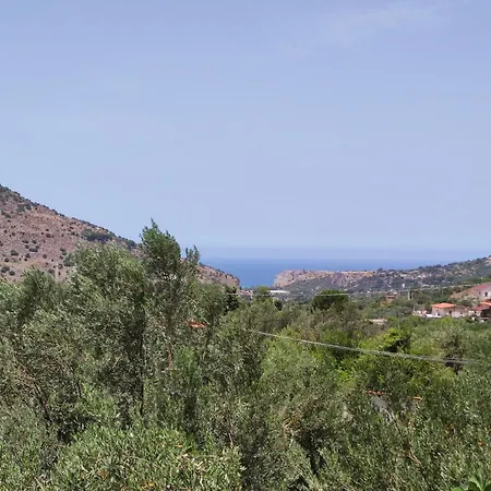 Gambino * Torretta (Sicily)
