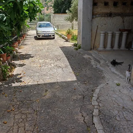 Gambino * Torretta (Sicily)